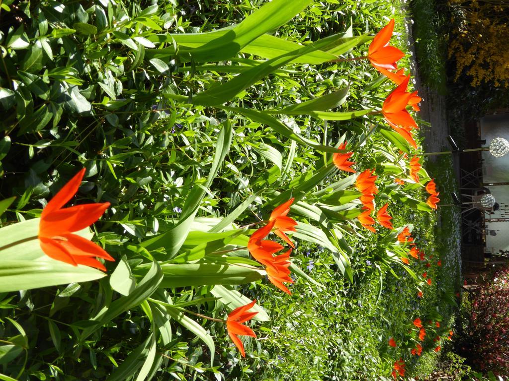 Bed and Breakfast Chez Jean Et Daisy Riehen Exteriér fotografie