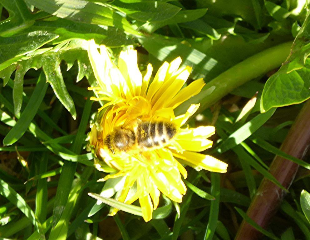 Bed and Breakfast Chez Jean Et Daisy Riehen Exteriér fotografie